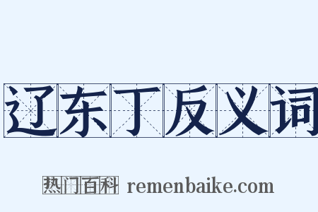 辽东丁反义词是什么意思的图片